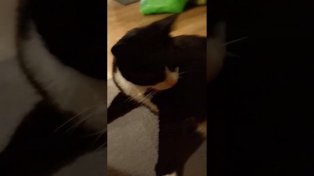 что-то делаю но всё не могу написать потому что там я много разного делала 😅 смотреть онлайн