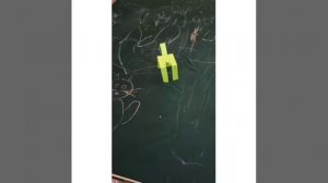 Ну почему был светофор зеленый