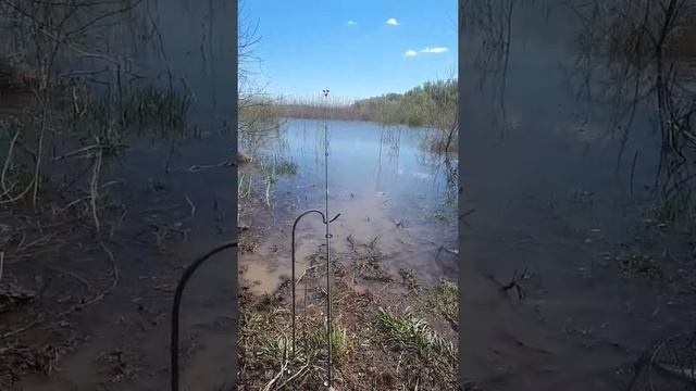 Рыбалка в Цимлянском районе смотреть онлайн