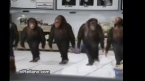 обезьяны поют уауауауаа 1 час