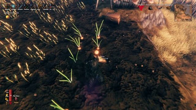 Valheim Ultimate Chicken Farming Guide - How To Get Eggs, Feed & Breed Chickens смотреть онлайн