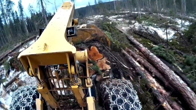Трелевочная машина Скидер Tigercat 630D смотреть онлайн