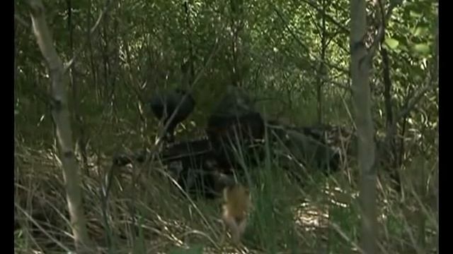 МУЛЬТИСПОРТ смотреть онлайн