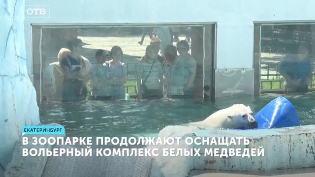 Какие игрушки любят белые медведи в зоопарке Екатеринбурга смотреть онлайн