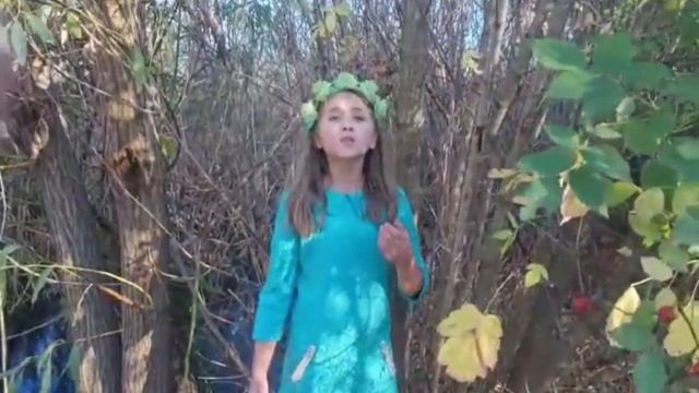 Салюкова Єлизавета "Вступ до поеми " Руслан і Людмила "" ( О. С. Пушкін ) смотреть онлайн