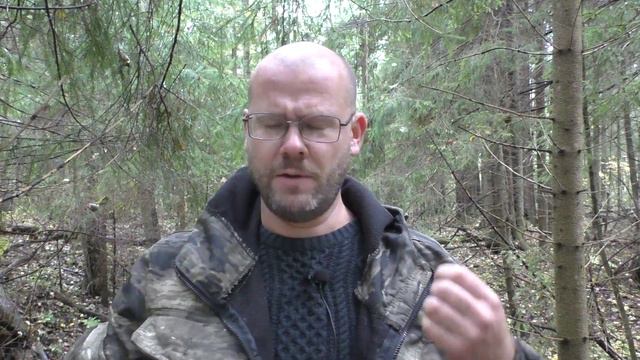 Шекспир, сонет 43 смотреть онлайн