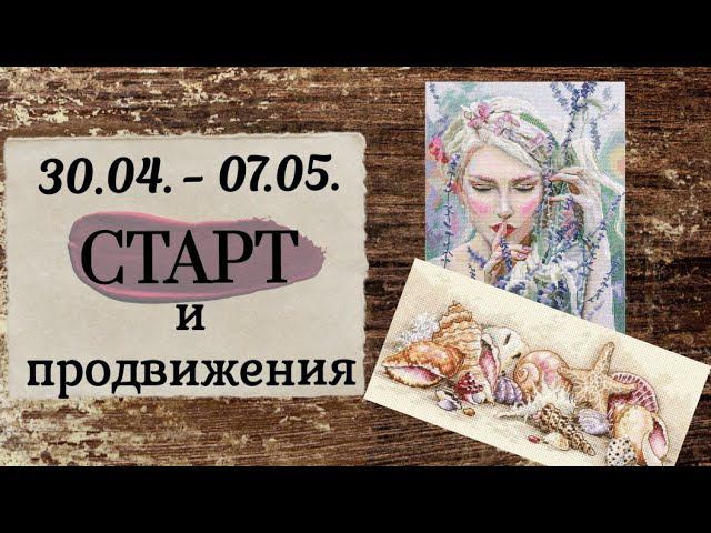 92. Продвижения за неделю | Старт РТО (комплектация Amishop), Dimensions | Вышивка крестом смотреть онлайн
