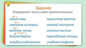 2 класс Единственное и множественное число имён прилагательных