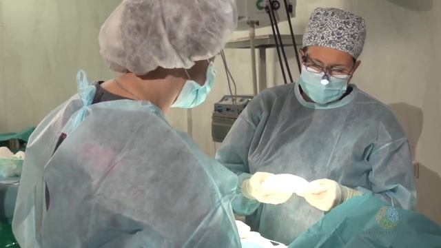 Увеличение груди. Кораблева Наталья Петровна смотреть онлайн