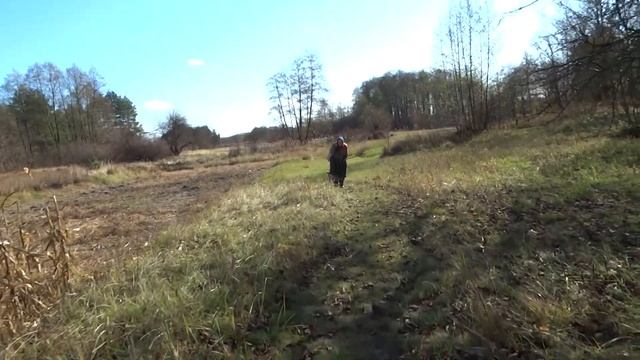 Идём за рогозом с Рыжим. Прогулка по окрестностям. смотреть онлайн