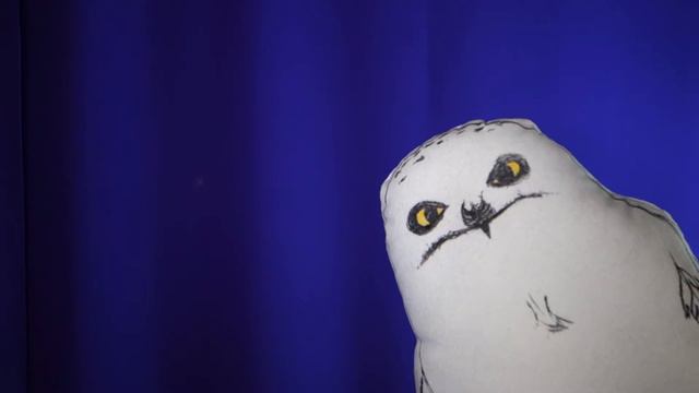 Шоу #ЗлойСовки "А что, если ...?" - OK, GOOGLE смотреть онлайн