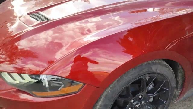 Параллельный импорт получение на железной дороге Ford Mustang и Hyundai Staria из Кореи смотреть онлайн