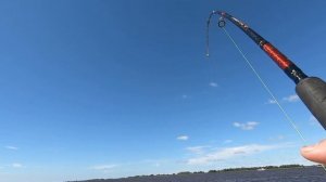 РЫБАЛКА НА КРУПНЫХ ЯЗЕЙ НА ИРТЫШЕ.
