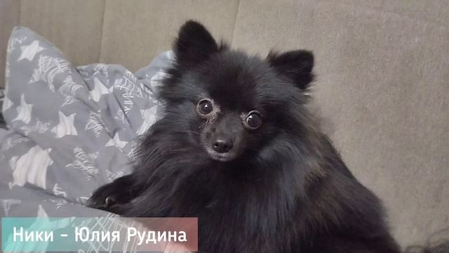 А кто озвучивал героев "Домик для ребят" из серии "Кошмары" смотреть онлайн