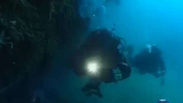 Что скрывает Антарктида смотреть онлайн