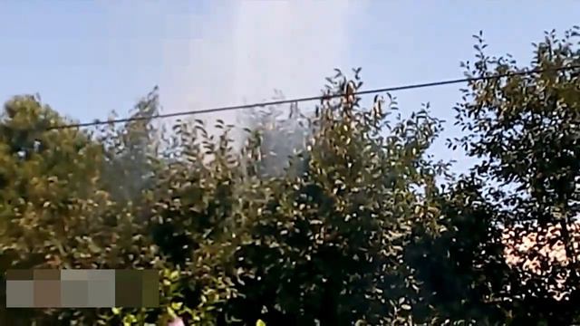 Замыкание через крону дерева смотреть онлайн