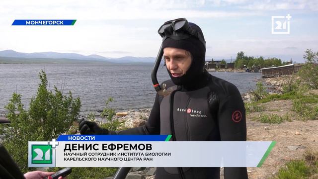 100 тысяч мальков сига появились на свет в Мурманской области смотреть онлайн