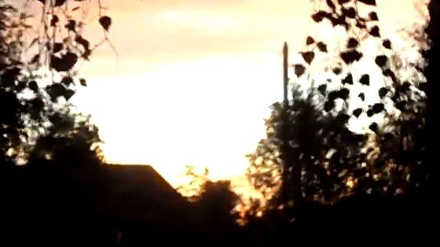 Красота, дети и помойка (( смотреть онлайн