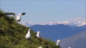 Баргузинский заповедник.mp4