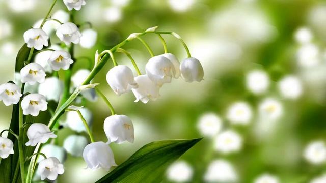 Онлайн-занятие «Весна-красна» смотреть онлайн