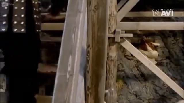 Afsungar Merlin Uzbek tilida смотреть онлайн