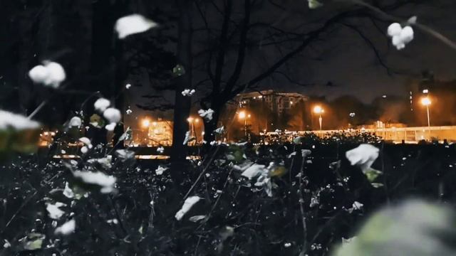 VID 20221201 020027 Раздумье 1908 (А. Белый)...Павел Васильев Лахтинский смотреть онлайн