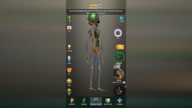 ЭВОЛЮЦИЯ ПРИШЕЛЬЦА ИЗ КОСТЕЙ И ОРГАНОВ  В ИГРЕ Idle Human