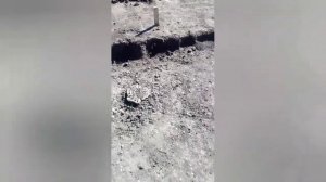 асфальтирование двора частного дамовладения