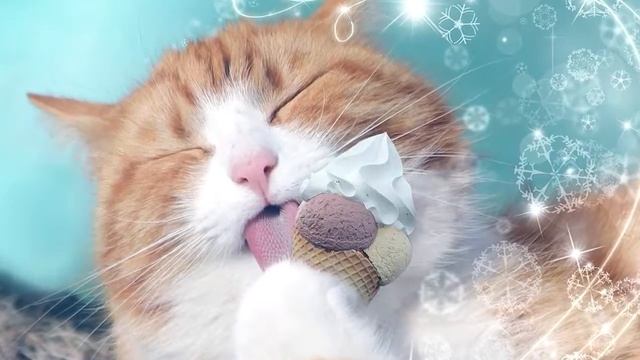 Вот Так Кошки Видят Окружающий Мир [Удивительно] смотреть онлайн