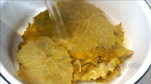 КАК ПРИГОТОВИТЬ ДОЛМУ? Простой и вкусный рецепт ДОЛМЫ из виноградных листьев.