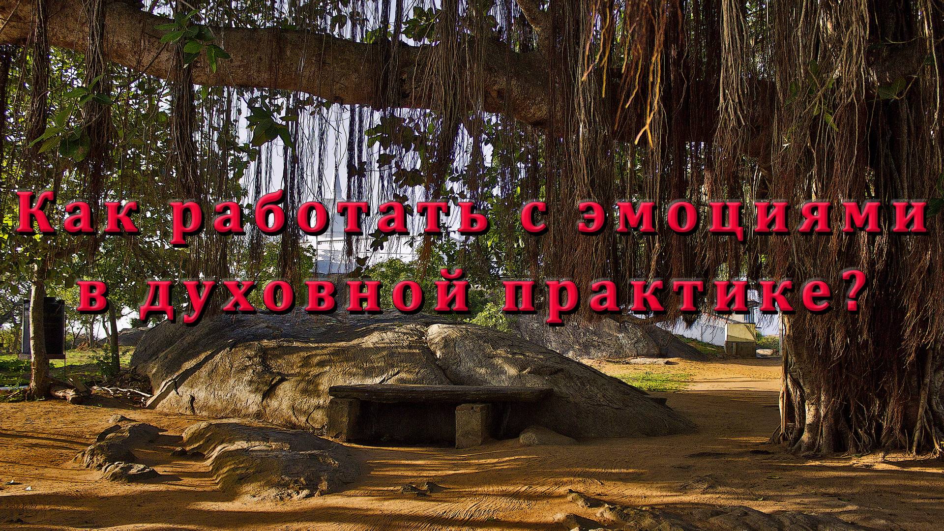 Как работать с эмоциями в духовной практике? смотреть онлайн