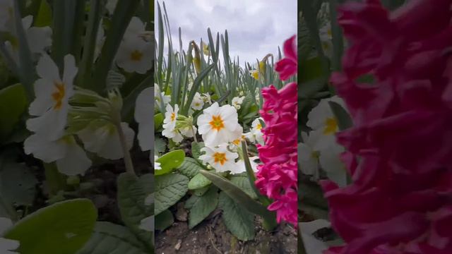 See what I found today смотреть онлайн