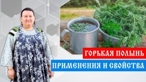 Горькая полынь. Применение и свойства горькой полыни | Арина Никитина