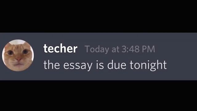 13 Сборник БЕЛУГИ На РУССКОМ #Txpstudio смотреть онлайн