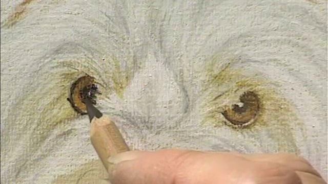 Preview | Draw & Paint Dogs with Pastel Pencils with Colin Bradley смотреть онлайн