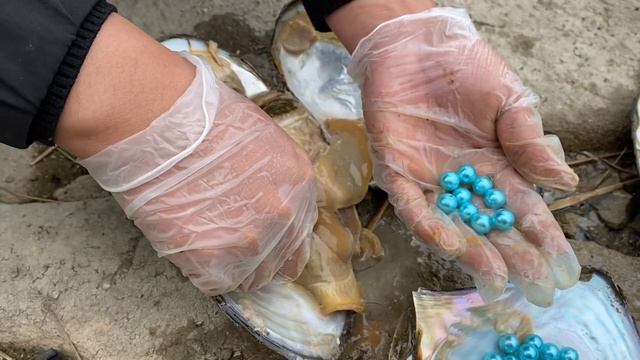 Natural blue pearls taken from scallops salvaged from deep pool surrounded by stones смотреть онлайн