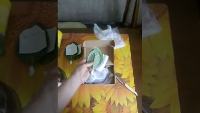 Распаковки посылки с листовыми черенка и глоксинии из Португалии #unboxing #глоксиния смотреть онлайн