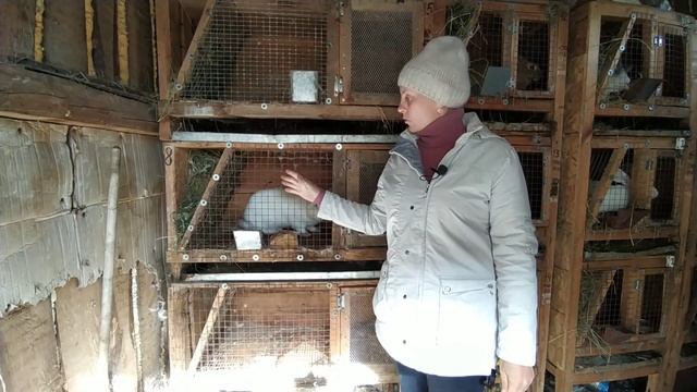 Размеры клеток для кроликов.