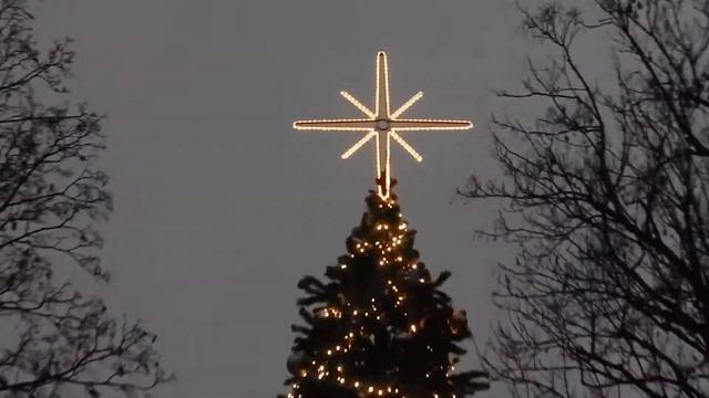 Новогодняя ёлка в парке Тараса Шевченко. Новый год 2021. Празднование нового года в Киеве. смотреть онлайн