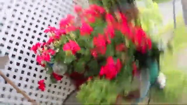 Donahoe's Florist Commercial смотреть онлайн