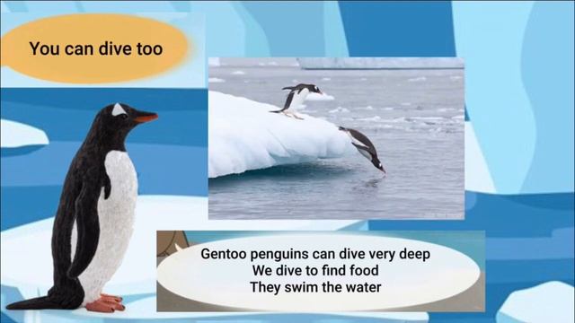 Meet the Animals 36: Gentoo Penguin смотреть онлайн