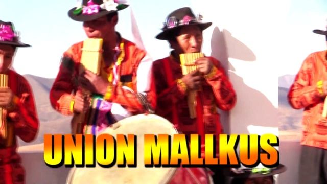 GRUPO DE ZAMPOÑADA PODEROSO UNION MALLKUS DE POTOSI 13 TANGO смотреть онлайн