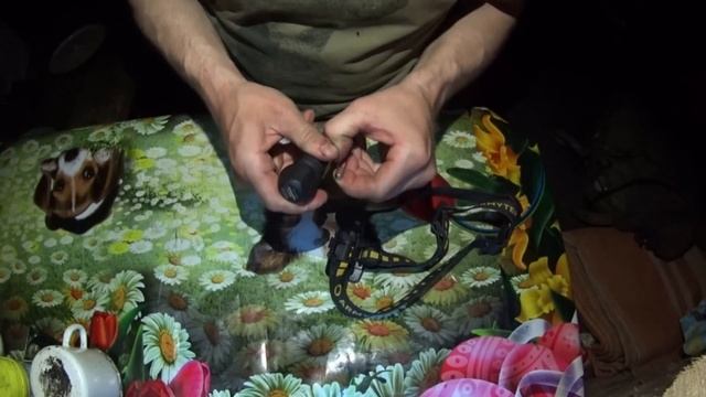 Весна в тайге. В поисках медведя и глухаря. Северный Урал. Заключительная часть смотреть онлайн