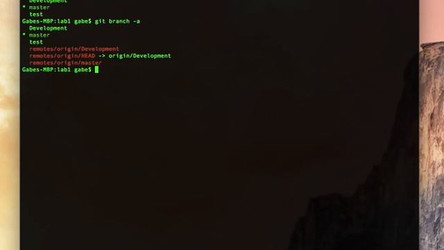 GiT Lab 14: Make an existing GiT branch track a remote branch смотреть онлайн