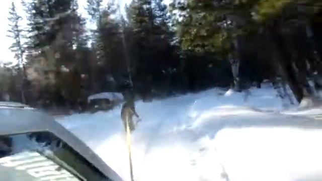 На лыжах по деревне смотреть онлайн