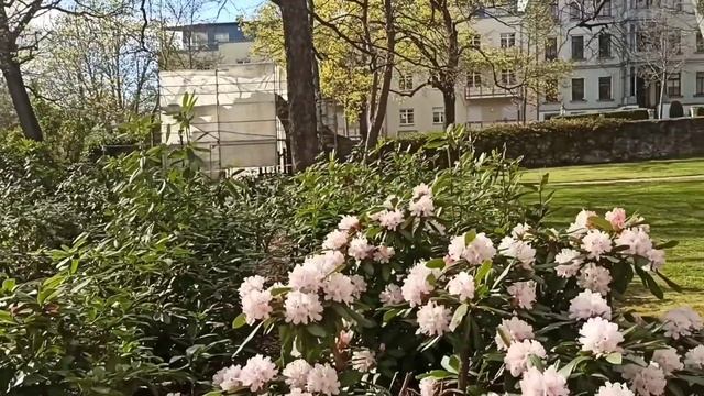 Озеро Шлосштайх, часть 2 / Хемниц, Германия / Украинцы в Германии смотреть онлайн