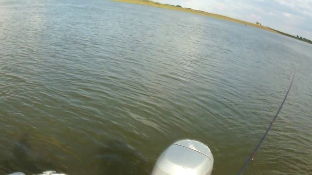 Ахтуба - Митинка, Осень 2013, Окунь на джиг с отводным, как "из пулемёта" смотреть онлайн