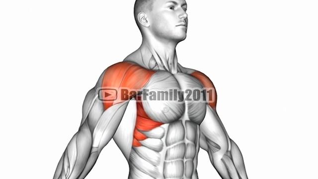 9 Best Exercises to Grow a Bigger Shoulders - DUMBBELLS ONLY смотреть онлайн