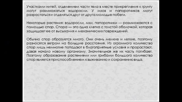 Размножение организмов. Биология 6 класс смотреть онлайн
