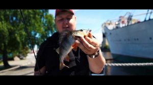 Стритфишинг по Калининградски / река Преголя